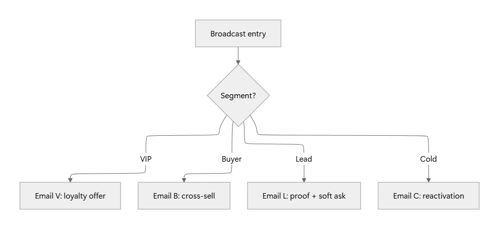 Segment-based branching diagram showing Broadcast entry leading to a Segment decision node that routes subscribers to four separate paths: VIP loyalty offer, Buyer cross-sell, Lead proof with a soft ask, and Cold reactivation.